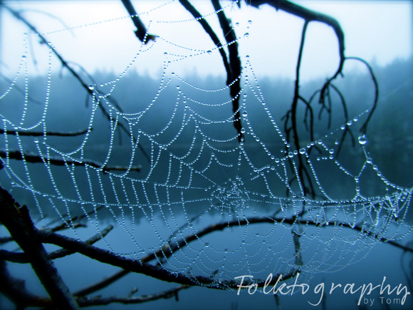 spider web3