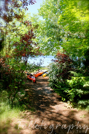 kayaks in the woods
