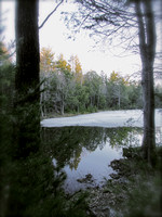 Levon's pond
