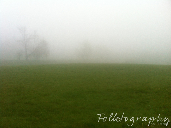green fog field