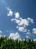 Nature- Sky